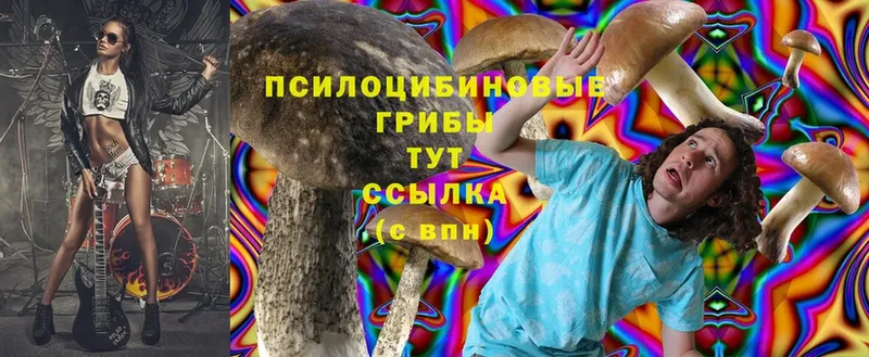 Псилоцибиновые грибы Cubensis  Богданович 